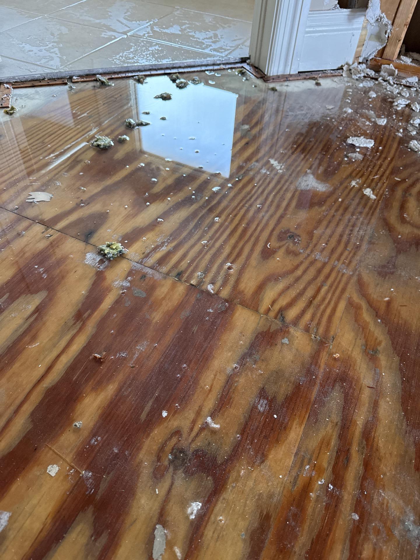 Standing water and damage on wood subfloor from storm intrusion in Chicago